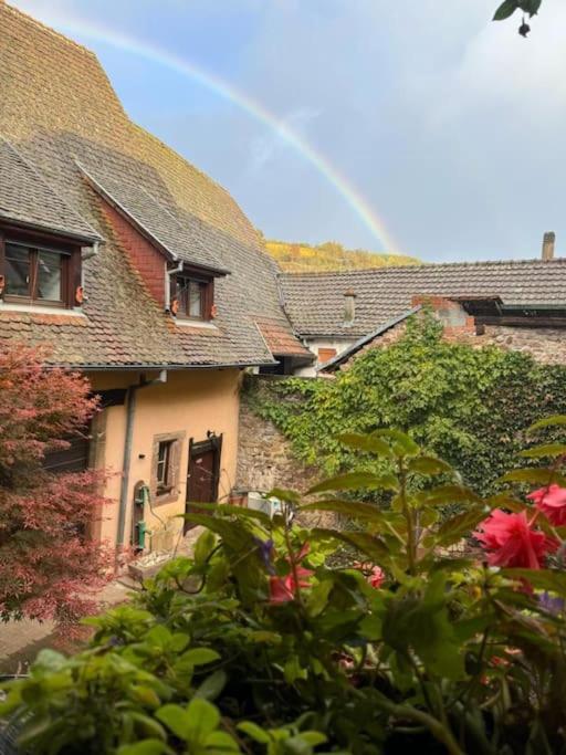 Entre Vignes Et Vergers Gite Parenthese Gueberschwihr Esterno foto