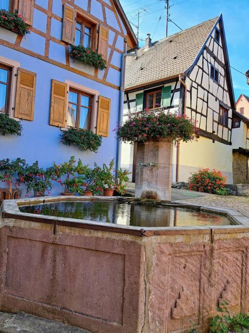 Entre Vignes Et Vergers Gite Parenthese Gueberschwihr Esterno foto