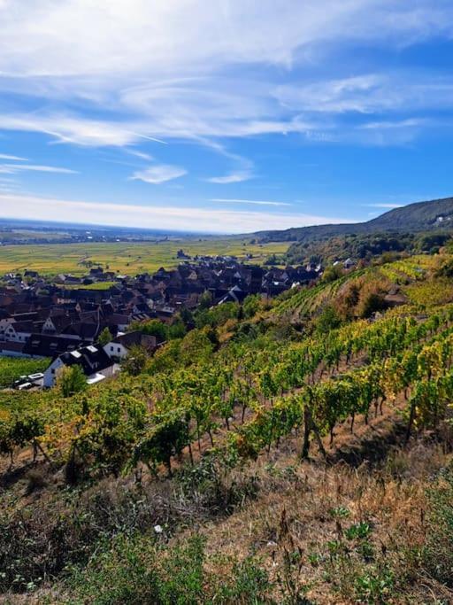 Entre Vignes Et Vergers Gite Parenthese Gueberschwihr Esterno foto