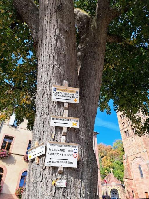 Entre Vignes Et Vergers Gite Parenthese Gueberschwihr Esterno foto