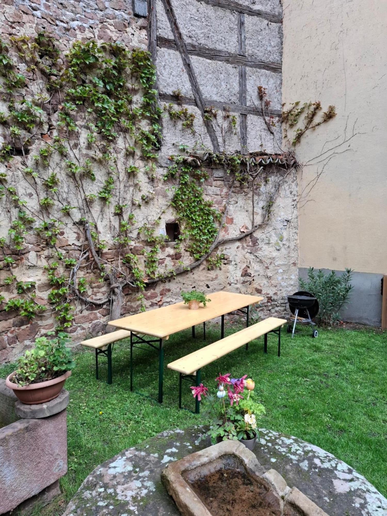 Entre Vignes Et Vergers Gite Parenthese Gueberschwihr Esterno foto